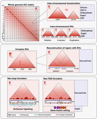 Chromosome conformation capture technologies as tools to detect structural variations and their repercussion in chromatin 3D configuration